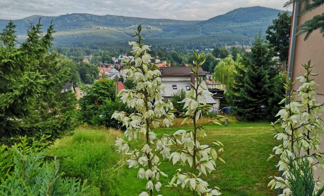 Willa Mona Bed and Breakfast Szklarska Poręba Εξωτερικό φωτογραφία